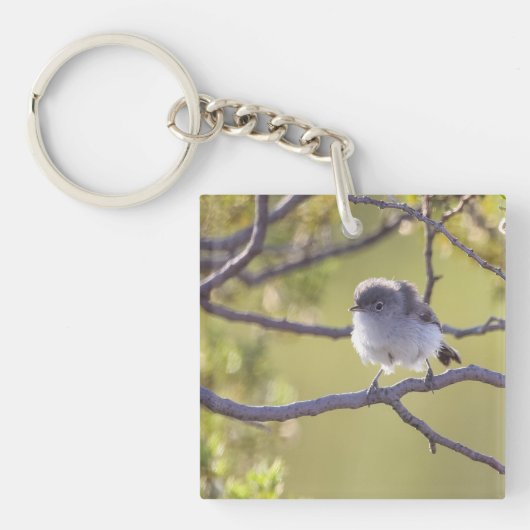 Bird on Twig (Bushtit) キーホルダー (正面)