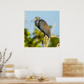 Bird Perfect 24 x 24.81アーカイブ紙ポスター ポスター (キッチン)