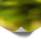 Bird Perfect 24 x 24.81アーカイブ紙ポスター ポスター (角)