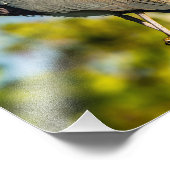 Bird Perfect 8 x 10 Kodak Proフォト紙 フォトプリント (角)