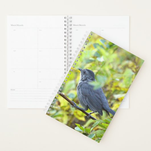 Bird Photo Planner プランナー手帳 (ディスプレー)