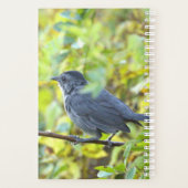 Bird Photo Planner プランナー手帳 (裏面)