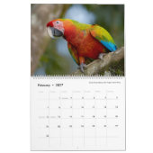 Bird Photography by Tom Spine, 2022 カレンダー (2月 2027)