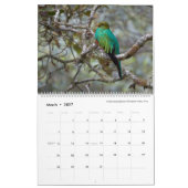 Bird Photography by Tom Spine, 2022 カレンダー (3月 2027)
