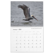 Bird Photography by Tom Spine, 2022 カレンダー (1月 2027)