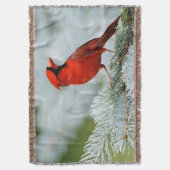 Bird red_blanket manta スローブランケット (正面縦)