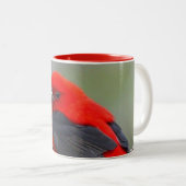 Bird red_iphone ツートーンマグカップ (正面右)