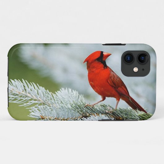 Bird red_iphone Case-Mate iPhoneケース (裏面(横))