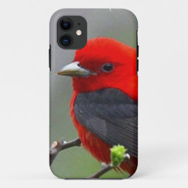 Bird red_iphone iPhone 11 ケース