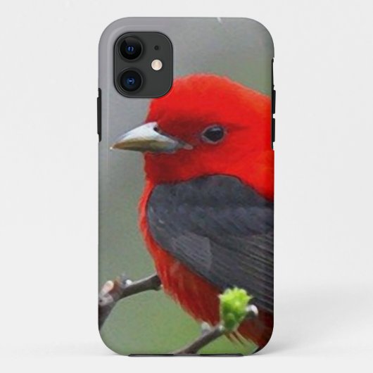 Bird red_iphone Case-Mate iPhoneケース (裏面)