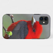 Bird red_iphone Case-Mate iPhoneケース (裏面(横))