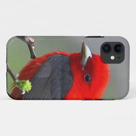 Bird red_iphone Case-Mate iPhoneケース (裏面(横))