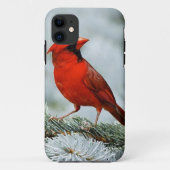 Bird red_iphone Case-Mate iPhoneケース (裏面)