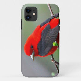 Bird red_iphone iPhone 11 ケース