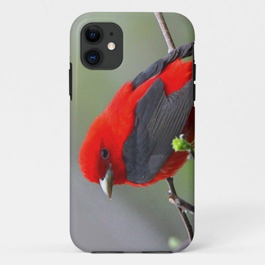 Bird red_iphone Case-Mate iPhoneケース (裏面)