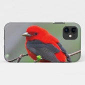 Bird red_iphone Case-Mate iPhoneケース (裏面(横))