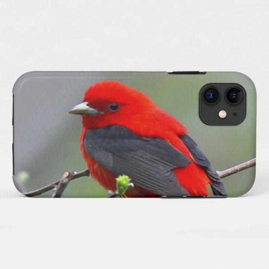 Bird red_iphone Case-Mate iPhoneケース (裏面(横))