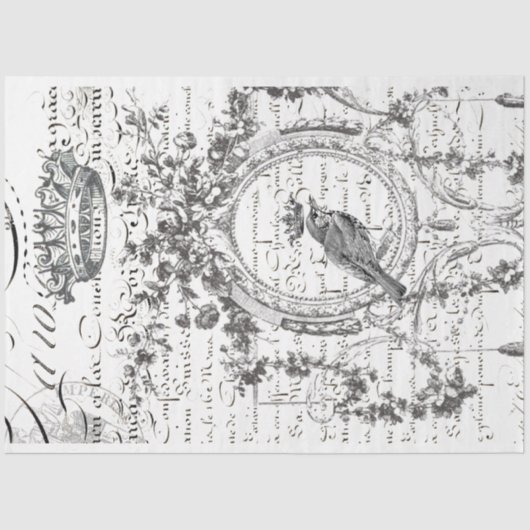 Bird Scriptの切り離し紙 薄葉紙 (正面)