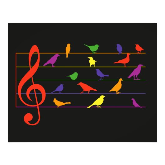 Bird Song, colorful design フォトプリント (正面)