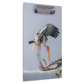 Bird Wallpaper Clipboard -自然-インスパイアデザイン クリップボード (右)