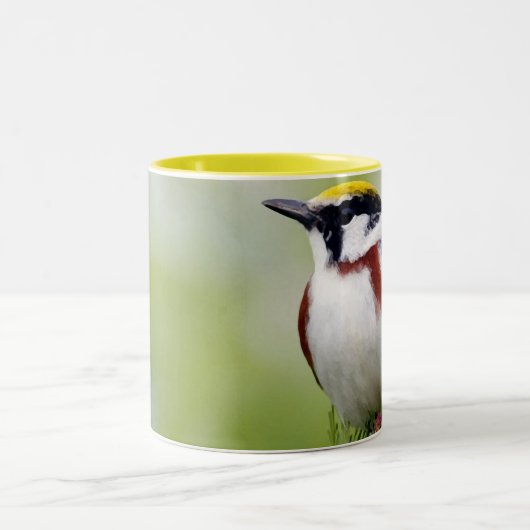 Bird yellow_iphone ツートーンマグカップ (中央)