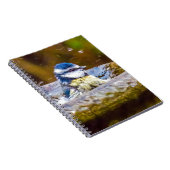 Birdbathのアオガラ ノートブック (右側)