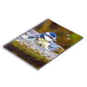 Birdbathのアオガラ ノートブック (左側)