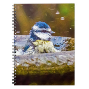 Birdbathのアオガラ ノートブック