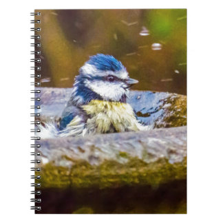 Birdbathのアオガラ ノートブック