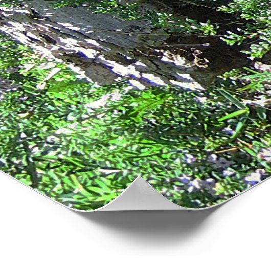 Birdbath on Tree Stump ポスター (角)