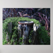 Birdbath on Tree Stump ポスター (正面)
