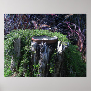 Birdbath on Tree Stump ポスター