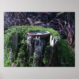 Birdbath on Tree Stump ポスター