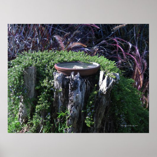 Birdbath on Tree Stump ポスター (正面)