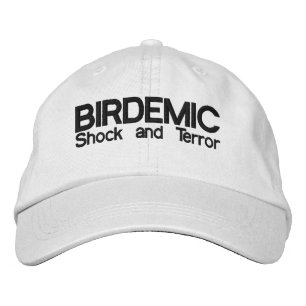 BIRDEMIC – ショックとテロの帽子 刺繍入りキャップ