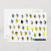 BirdFace Warblerはがき ポストカード (正面/裏面)