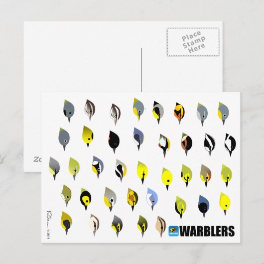 BirdFace Warblerはがき ポストカード (正面/裏面)