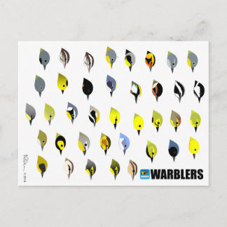 BirdFace Warblerはがき ポストカード