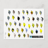 BirdFace Warblerはがき ポストカード (正面)