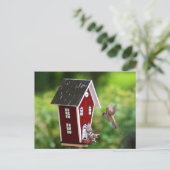 BirdHouse/フォージェルス ポストカード (スタンド正面)