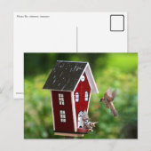 BirdHouse/フォージェルス ポストカード (正面/裏面)