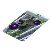 Birdhouse With Morning Glories Magnet マグネット (左側)