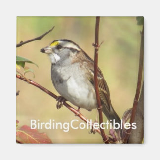 BirdingCollectiblesマグネット マグネット