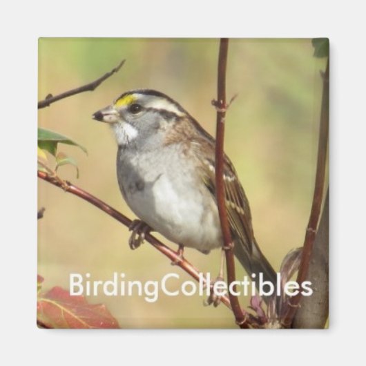 BirdingCollectiblesマグネット マグネット (正面)