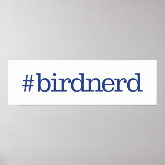 #birdnerd ポスター (正面)