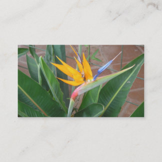 birdofparadiseの名刺 名刺