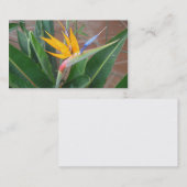 birdofparadiseの名刺 名刺 (正面/裏面)