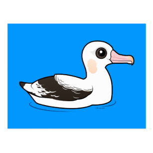 ワタリアホウドリギフト ギフトアイデア Zazzle Co Jp