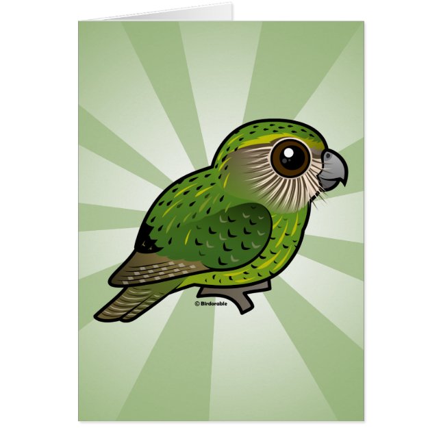 Birdorableのフクロウオウム (正面)