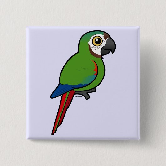 Birdorableはコンゴウインコにクリ向かいました 缶バッジ (正面)